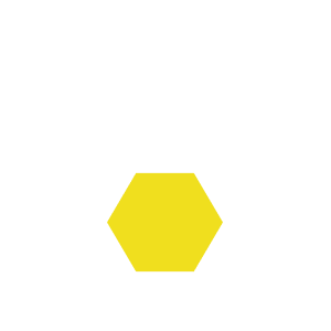 APIS PROJECT