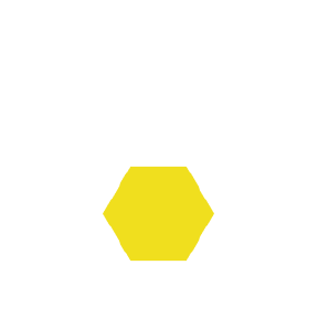 APIS PROJECT